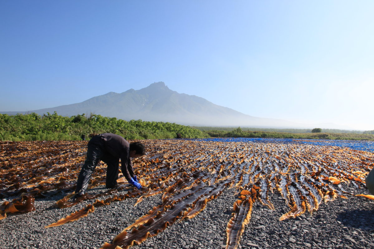 観光 | Webon（ウェボン） - Part 4
